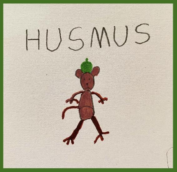 husmus20